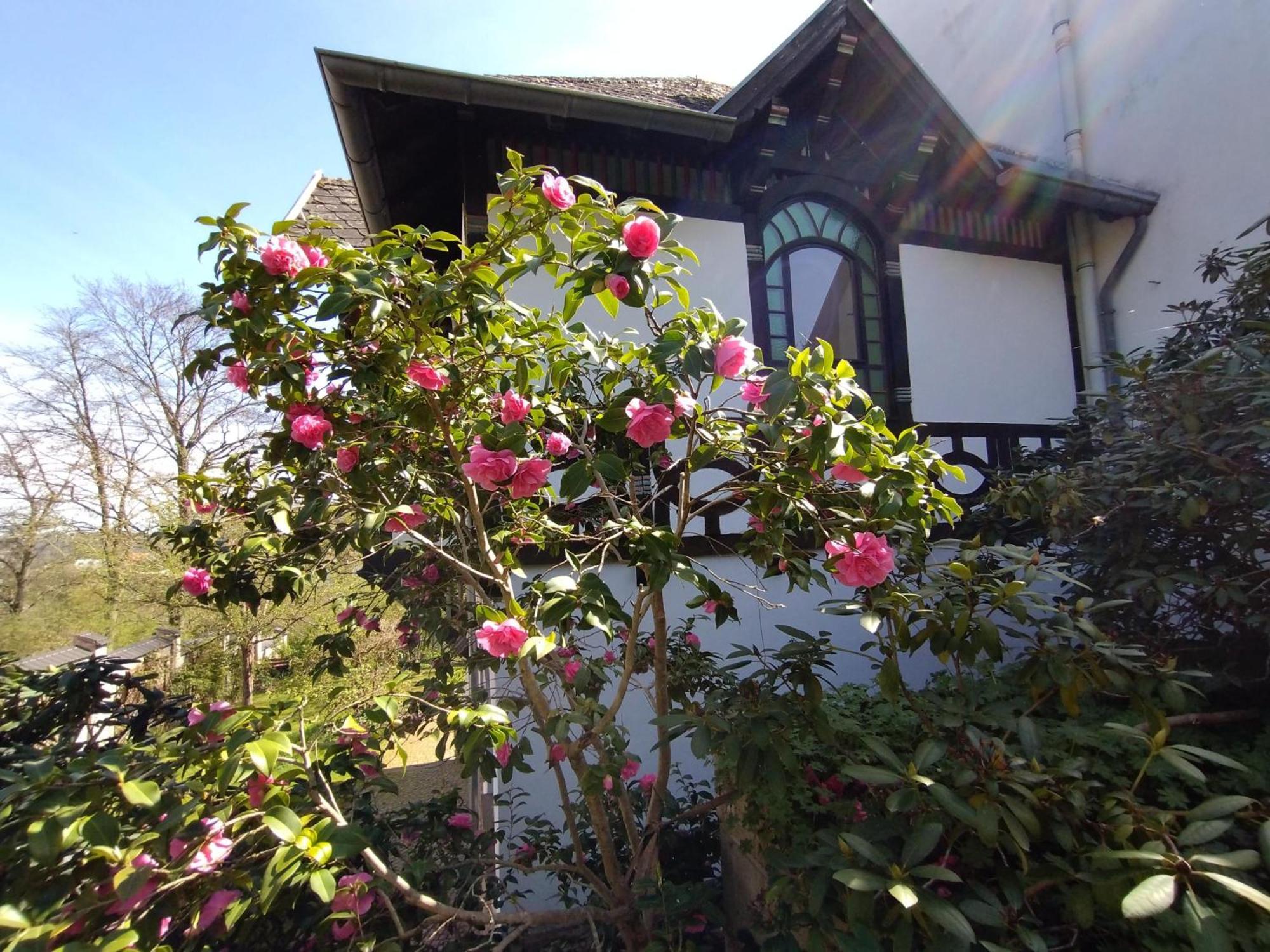 הוילה סארברוקן Historisches Haus Am Triller מראה חיצוני תמונה